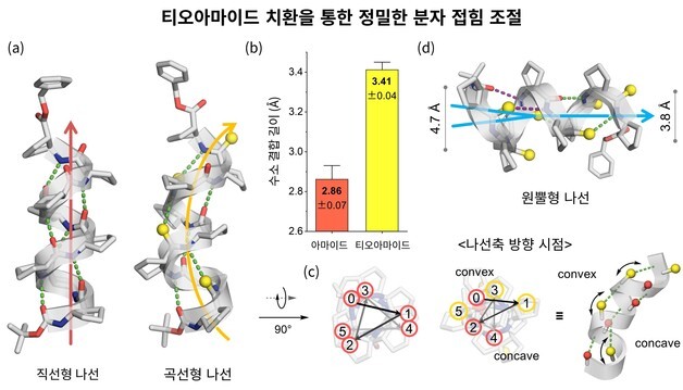 AI 신약 개발 앞당길 펩타이드 정밀 제어 기술 개발