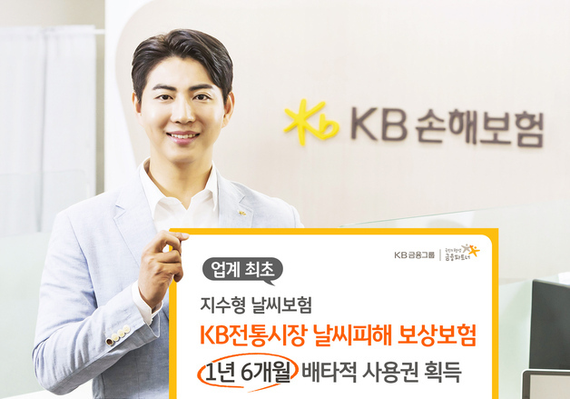 KB손보, '전통시장 날씨피해 보상' 업계 최초 배타적사용권 획득