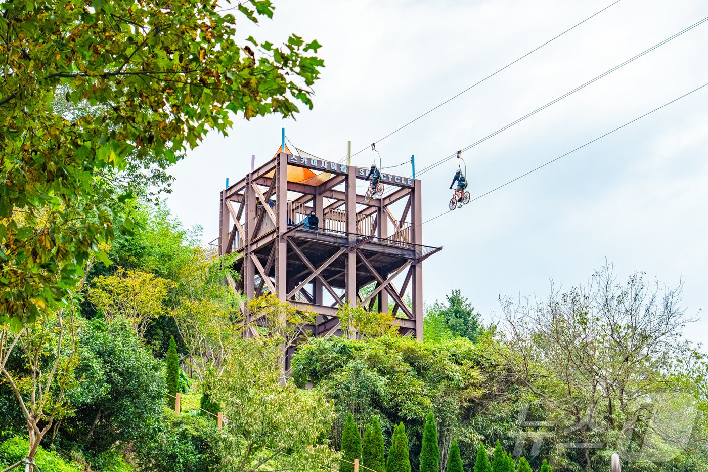 본문 이미지 - 도째비골스카이밸리의 짜릿함을 선사하는 스카이사이클&#40;한국관광공사 제공&#41; 