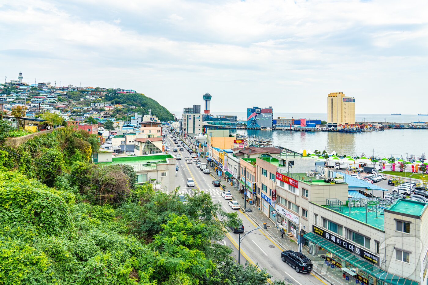 본문 이미지 - 과거와 현재가 공존하는 묵호항 풍경&#40;한국관광공사 제공&#41;