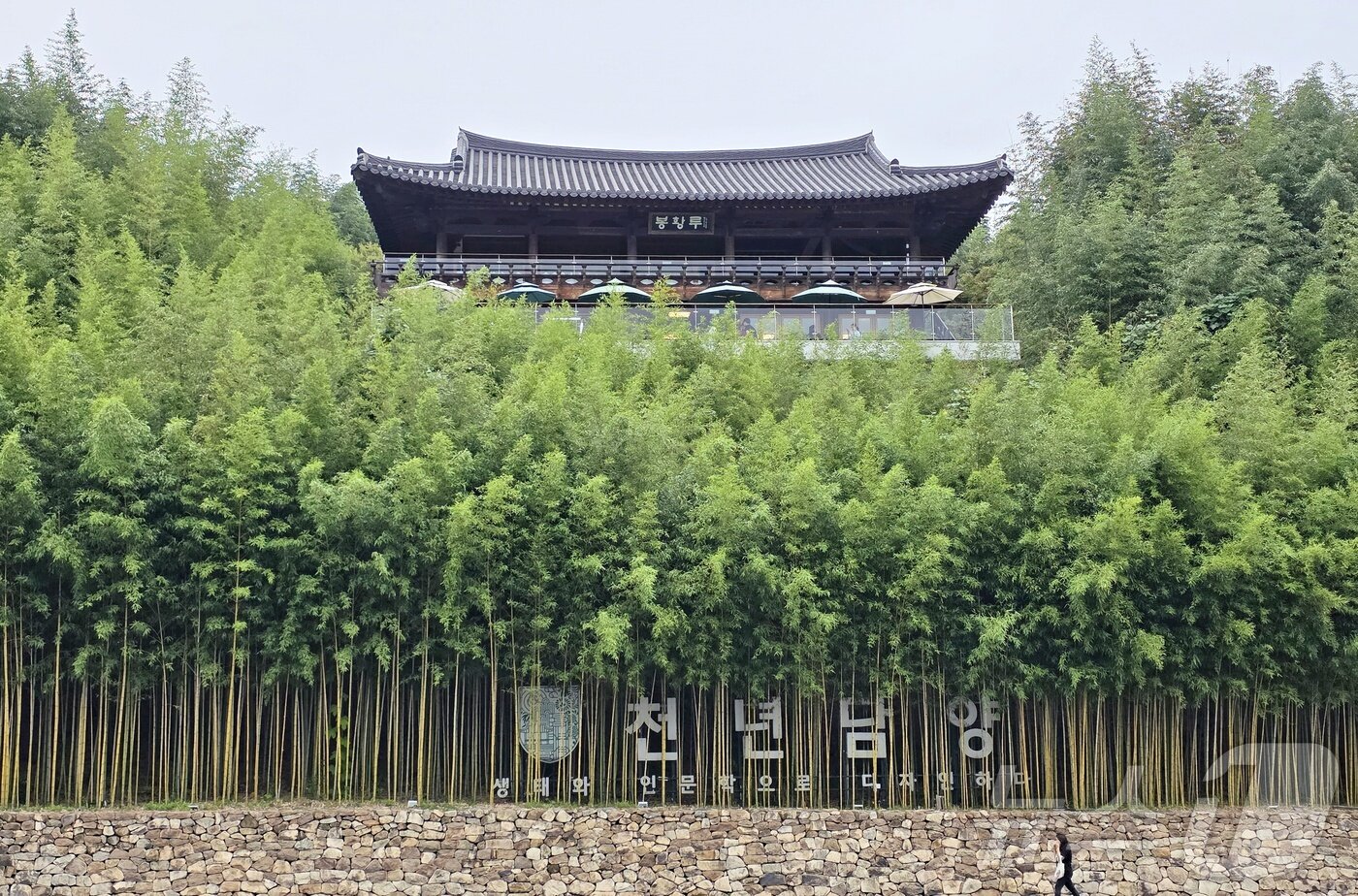 본문 이미지 - 죽녹원&#40;한국관광공사 제공&#41; 