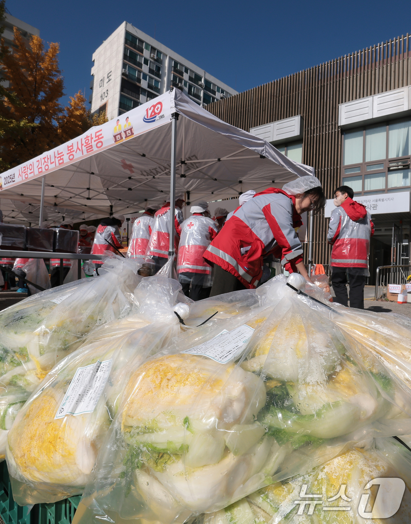 (서울=뉴스1) 권현진 기자 = 대한적십자사 서울지사 봉사자들이 14일 오전 서울 노원구 대한적십자사 서울특별시지사 북부봉사관에서 취약계층에게 전달할 김치 봉사활동을 하고 있다. …