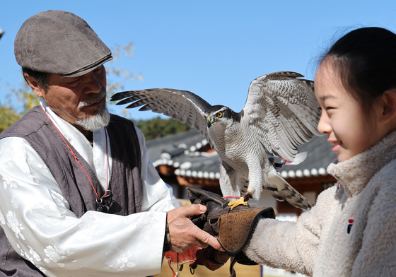 매 사냥 체험하는 어린이