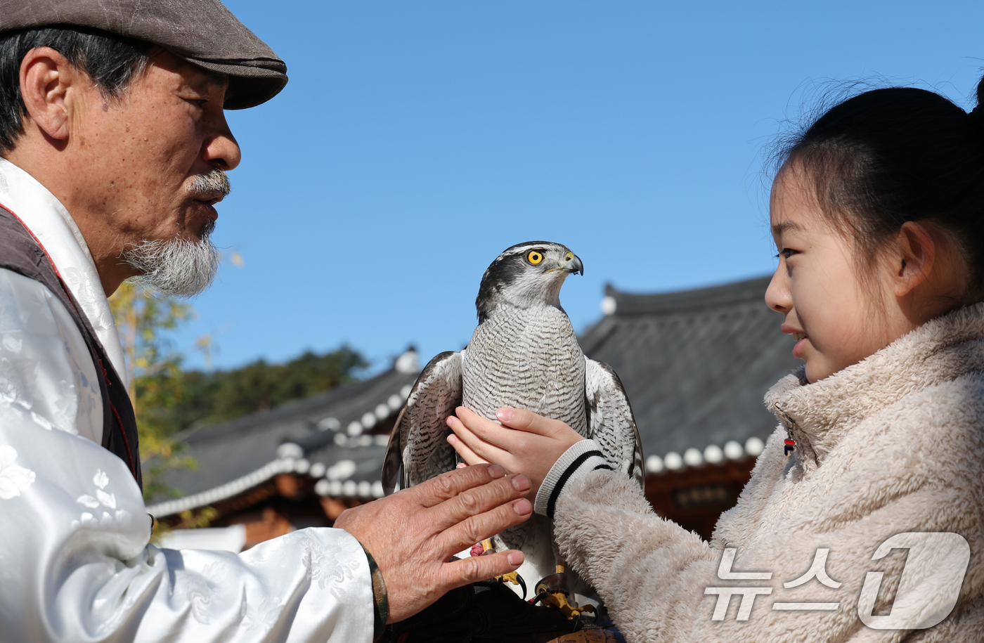 (대전=뉴스1) 김기태 기자 = 인류무형문화유산 박용순 응사가 14일 대전 동구 이사동 유교전통의례관에서 대전문화재단이 운영하는 문화유산 매사냥 체험 프로그램에 참가한 학생들에게 …