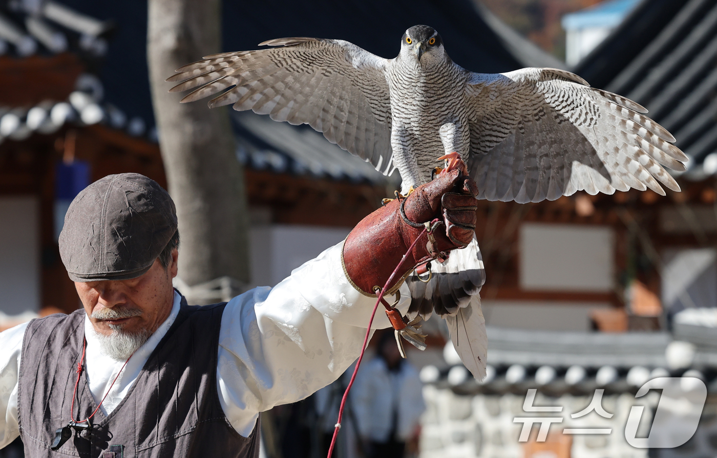 (대전=뉴스1) 김기태 기자 = 인류무형문화유산 박용순 응사가 14일 대전 동구 이사동 유교전통의례관에서 대전문화재단이 운영하는 문화유산 매사냥 체험 프로그램에 참가한 학생들에게 …