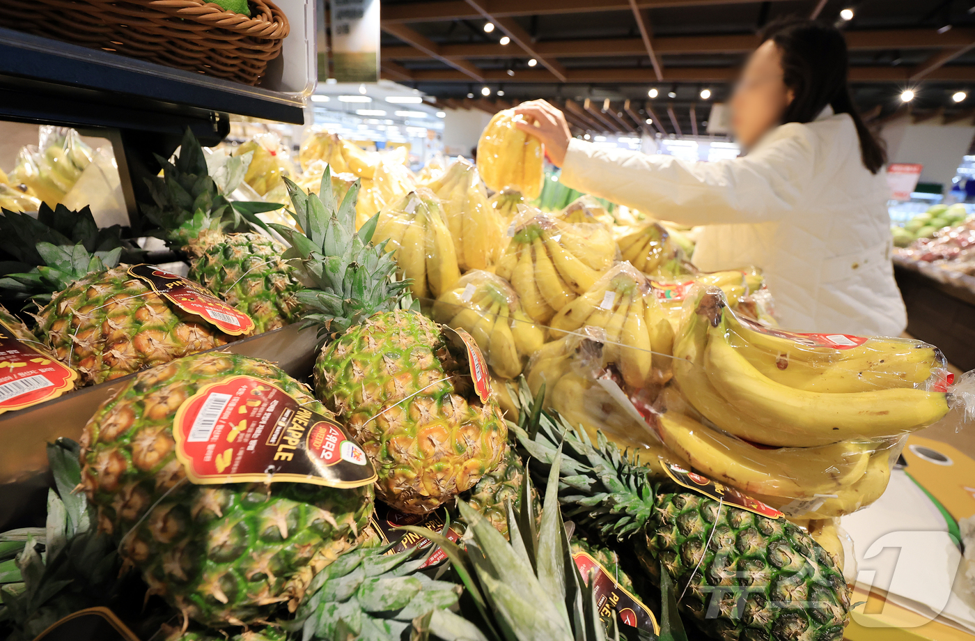 (서울=뉴스1) 김진환 기자 = 9월 원·달러 환율이 2% 넘게 치솟으면서, 수입물가가 9개월 만에 가장 큰 폭으로 올랐다.14일 한국은행에 따르면 지난달 수입물가지수는 전달보다 …