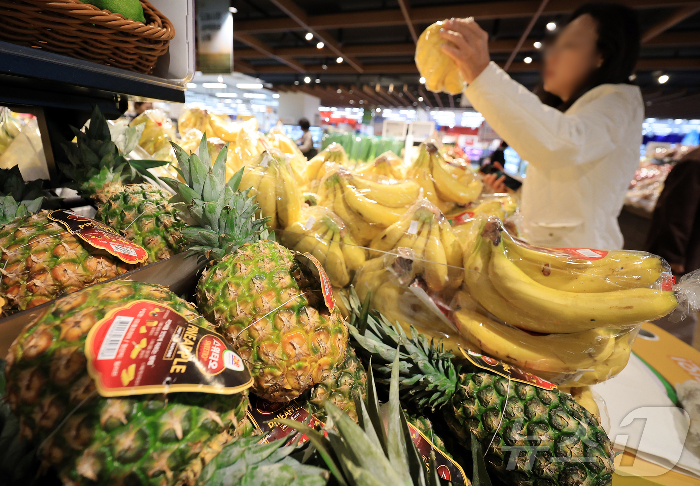 (서울=뉴스1) 김진환 기자 = 9월 원·달러 환율이 2% 넘게 치솟으면서, 수입물가가 9개월 만에 가장 큰 폭으로 올랐다.14일 한국은행에 따르면 지난달 수입물가지수는 전달보다 …