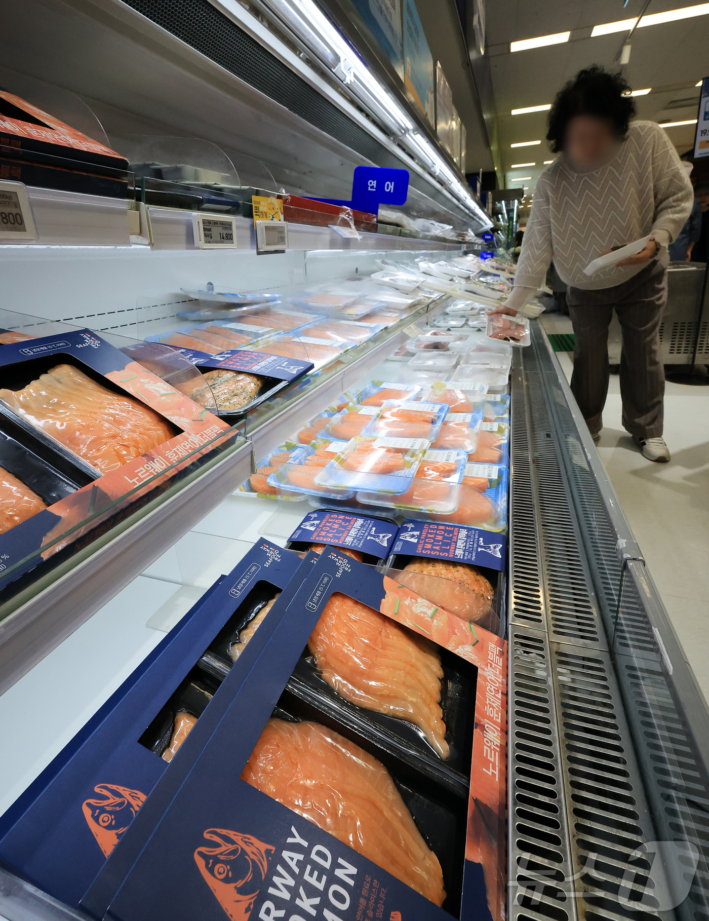 (서울=뉴스1) 김진환 기자 = 9월 원·달러 환율이 2% 넘게 치솟으면서, 수입물가가 9개월 만에 가장 큰 폭으로 올랐다.14일 한국은행에 따르면 지난달 수입물가지수는 전달보다 …