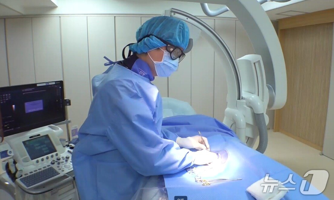 본문 이미지 - 보호동물 인터벤션 시술을 하고 있는 수의사(해마루반려동물의료재단 제공) ⓒ 뉴스1