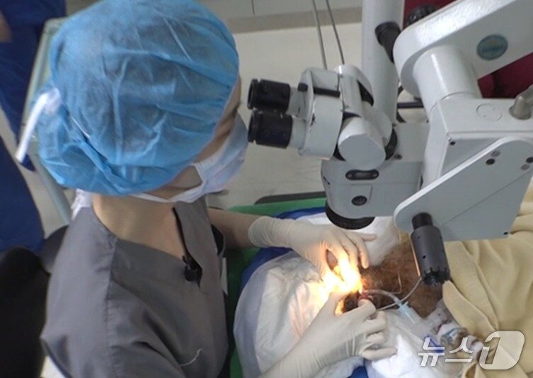 본문 이미지 - 보호동물의 백내장 수술을 하고 있는 수의사(해마루반려동물의료재단 제공) ⓒ 뉴스1