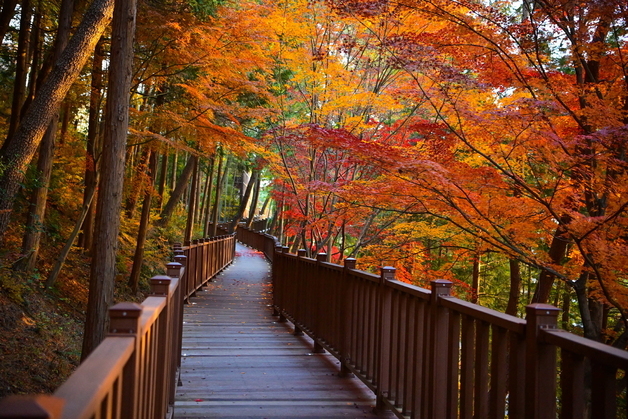 "휠체어 타고 명품 노을 감상"…진주시 '진양호 노을길' 준공