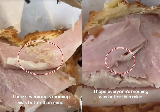 "한 입 먹은 크루아상에 구더기 수십마리 꿈틀"…호주 카페 영상 300만 조회 '난리'