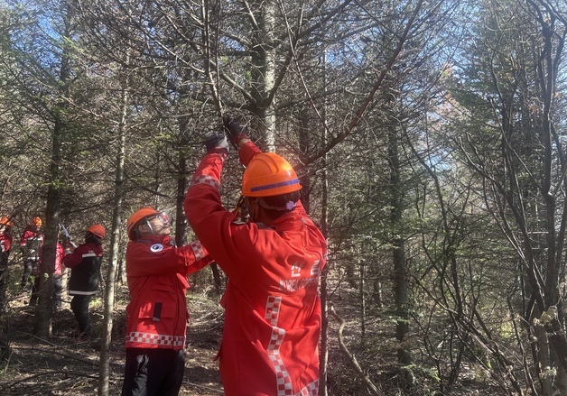 동부산림청, 고산 침엽수림 보전 숲가꾸기 체험행사 성료