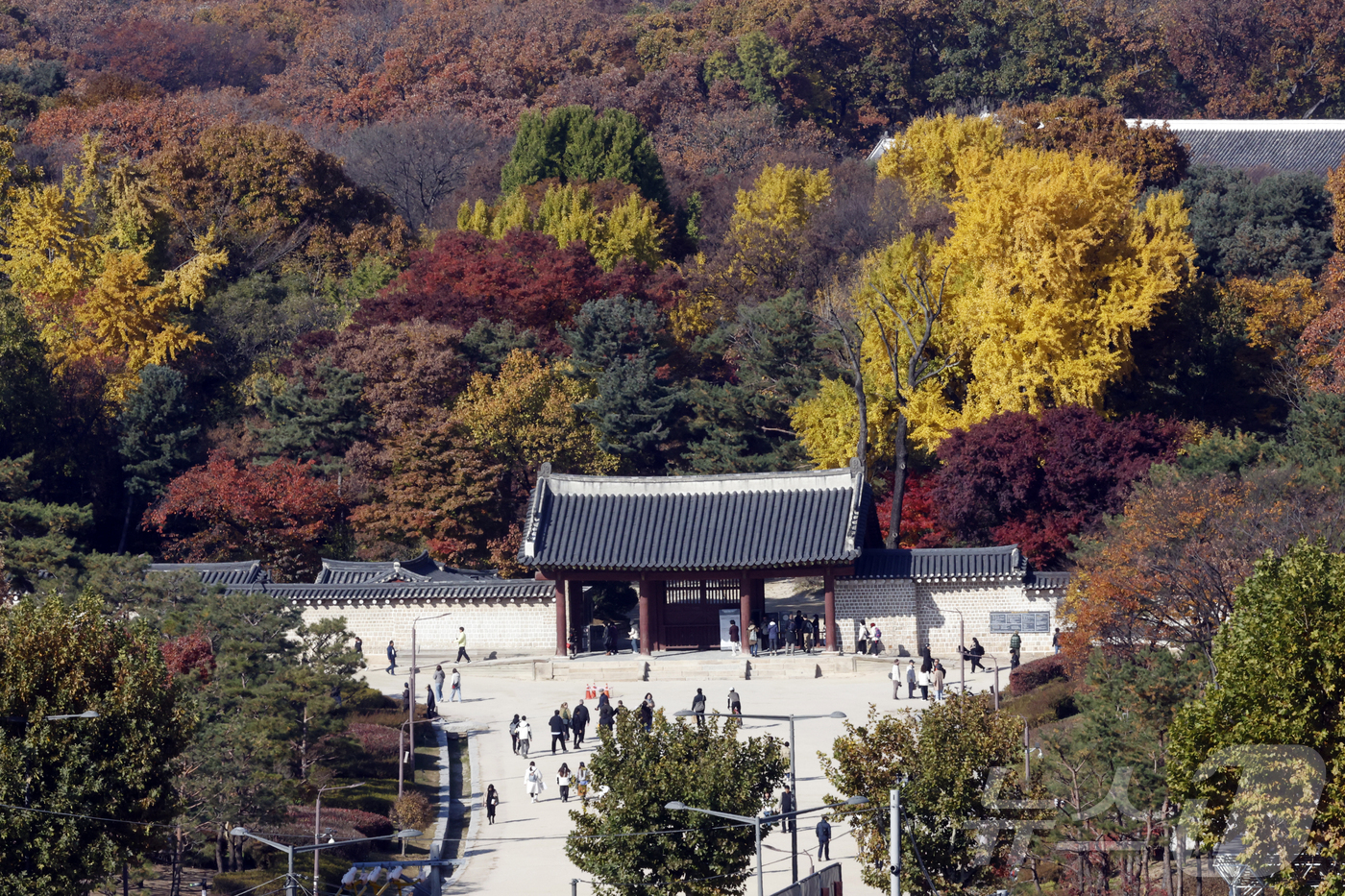 (서울=뉴스1) 박정호 기자 = 국가유산청이 올해 안으로 유네스코 세계유산 종묘 일대를 '세계유산지구'로 지정 고시와 관련 행정 절차를 마치고, 서울시에 세계유산영향평가를 요청할 …