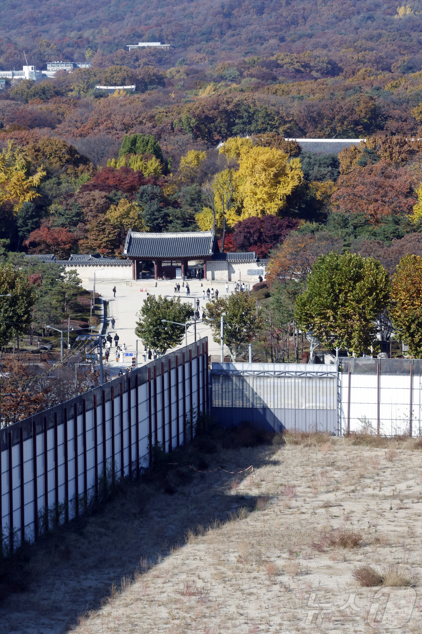 (서울=뉴스1) 박정호 기자 = 국가유산청이 올해 안으로 유네스코 세계유산 종묘 일대를 '세계유산지구'로 지정 고시와 관련 행정 절차를 마치고, 서울시에 세계유산영향평가를 요청할 …