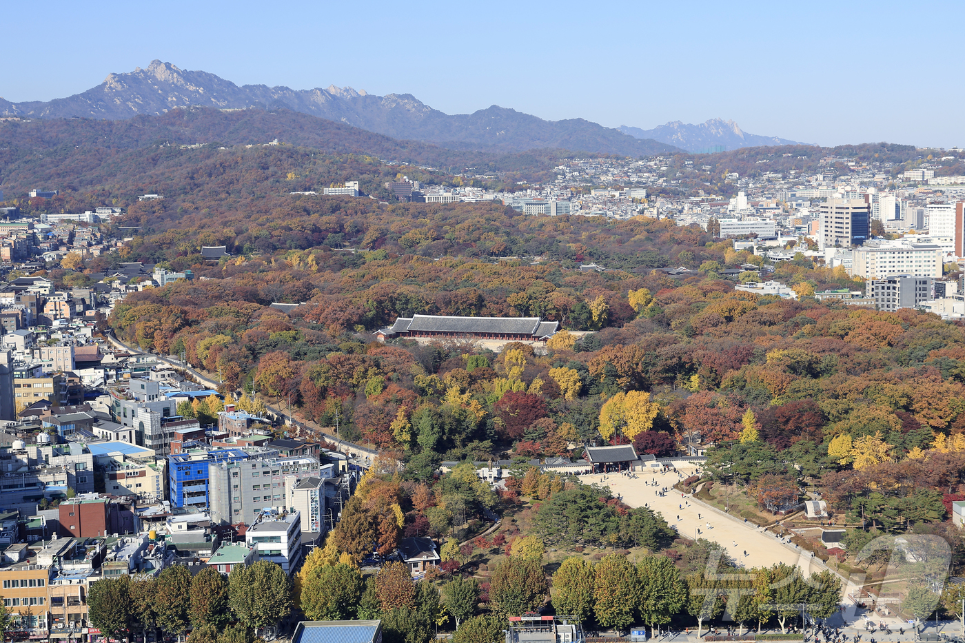 (서울=뉴스1) 박정호 기자 = 국가유산청이 올해 안으로 유네스코 세계유산 종묘 일대를 '세계유산지구'로 지정 고시와 관련 행정 절차를 마치고, 서울시에 세계유산영향평가를 요청할 …