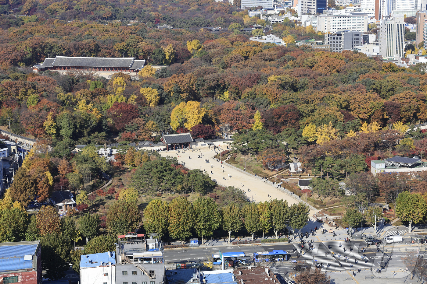 (서울=뉴스1) 박정호 기자 = 국가유산청이 올해 안으로 유네스코 세계유산 종묘 일대를 '세계유산지구'로 지정 고시와 관련 행정 절차를 마치고, 서울시에 세계유산영향평가를 요청할 …