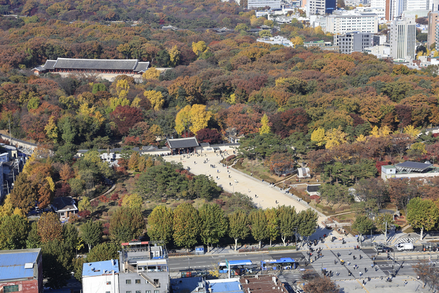 종묘 주변의 미래는?