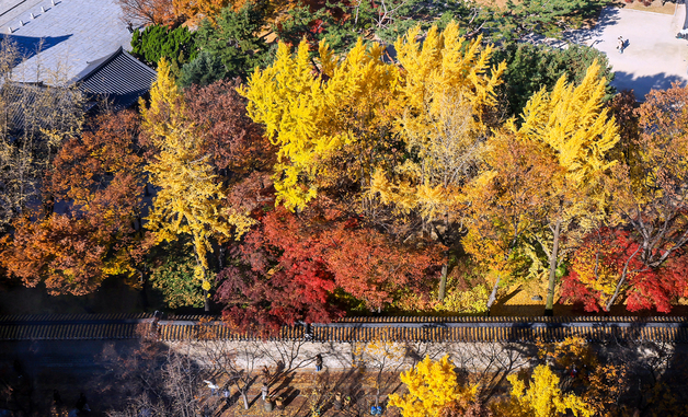[오늘의 날씨] 울산(15일, 토)…아침최저 4도, 일교차 커