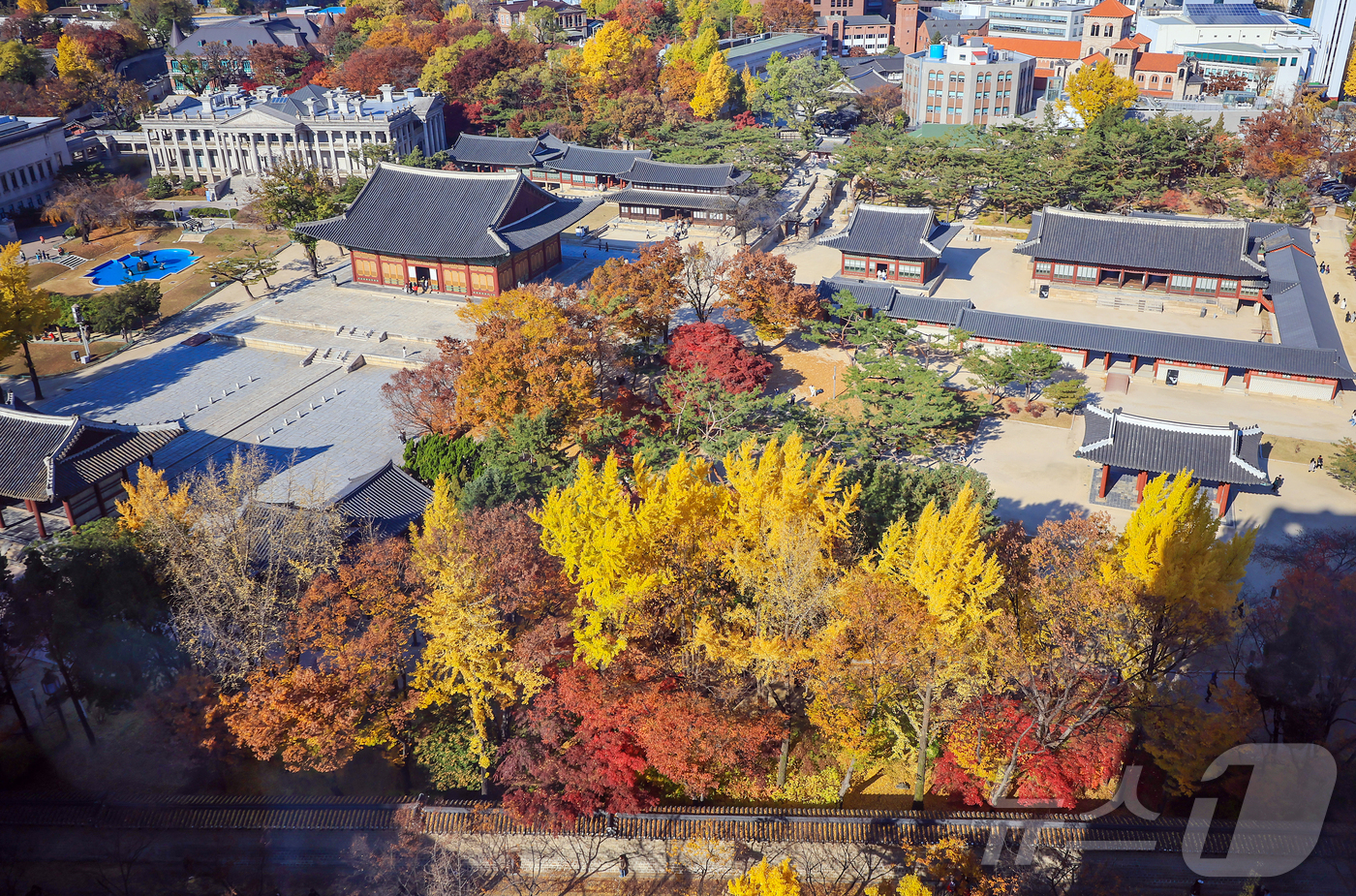 (서울=뉴스1) 김진환 기자 = 온화한 날씨를 보인 14일 오후 서울 중구 정동전망대에서 바라본 덕수궁이 단풍이 울긋불긋 물들어 있다. 2025.11.14/뉴스1
