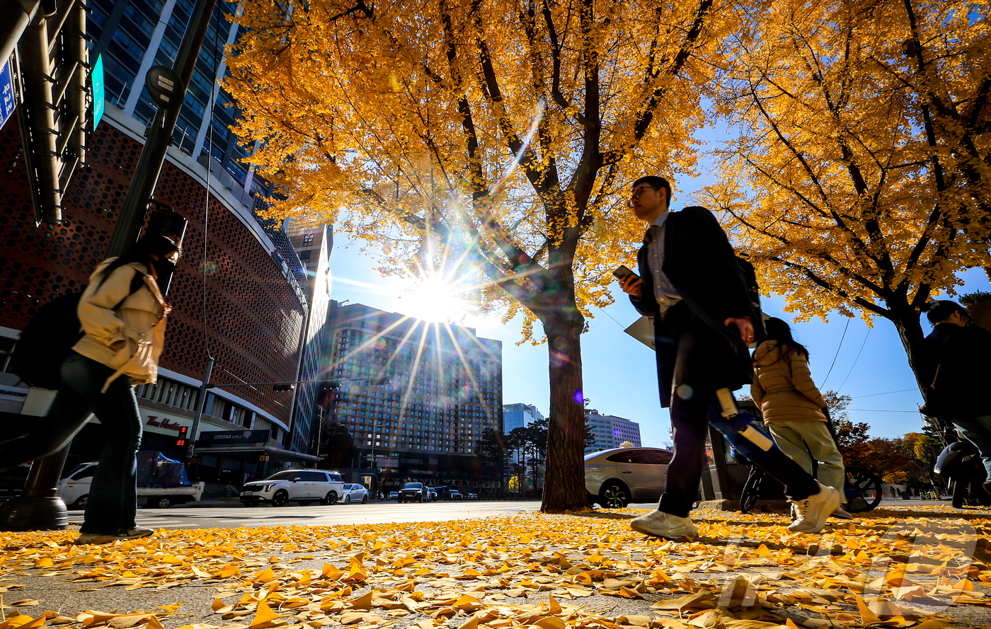 (서울=뉴스1) 김진환 기자 = 온화한 날씨를 보인 14일 오후 서울 중구 서울시청 인근 거리에 단풍이 물든 가운데 시민들이 발걸음을 옮기고 있다. 2025.11.14/뉴스1