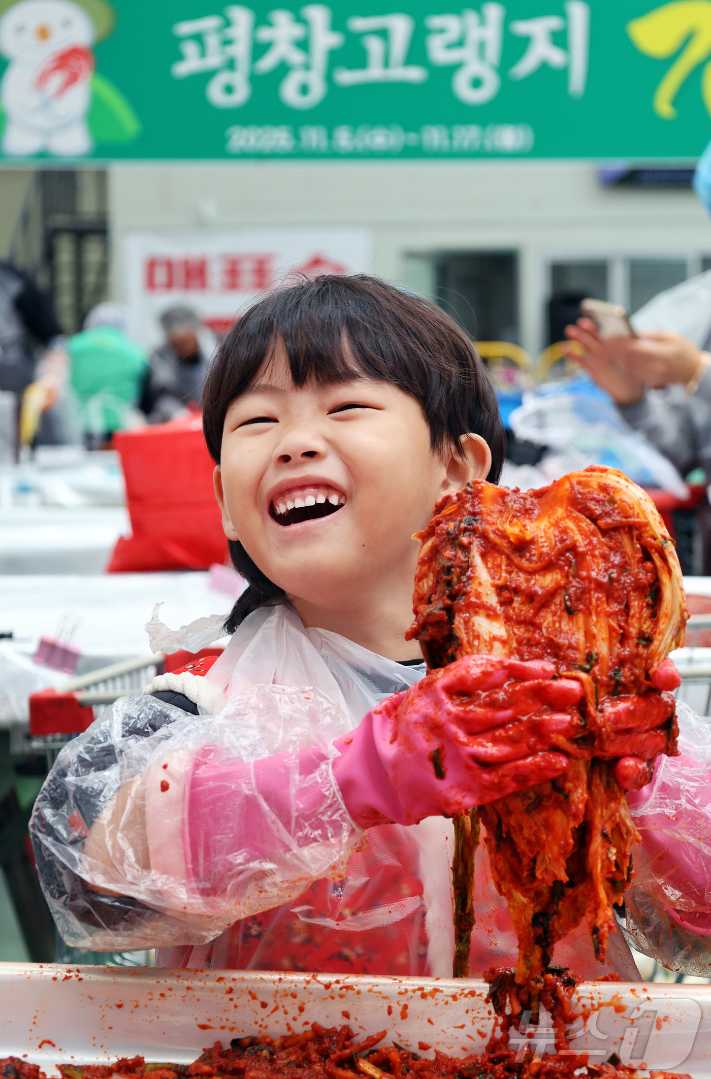 (서울=뉴스1) = 14일 강원 평창군 진부면민체육공원에서 개막한 제8회 평창고랭지김장축제를 부모와 함께 찾은 어린이가 김장체험을 하고 있다. (평창군 제공. 재판매 및 DB 금지 …