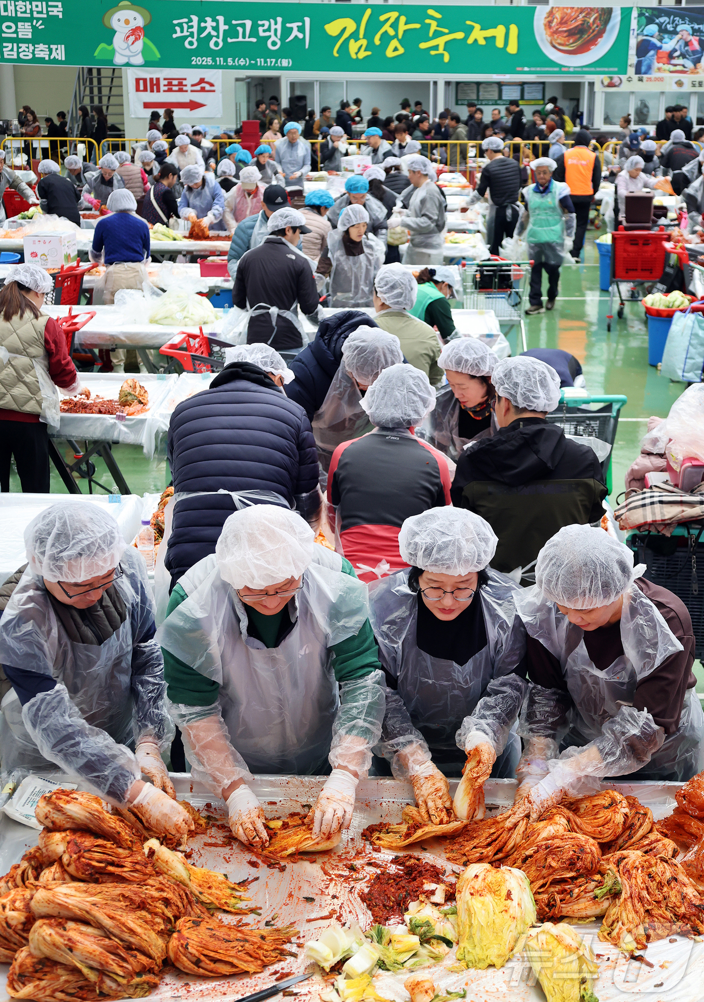 (서울=뉴스1) = 14일 강원 평창군 진부면민체육공원에서 개막한 제8회 평창고랭지김장축제를 찾은 방문객들이 김장을 담그고 있다. (평창군 제공. 재판매 및 DB 금지) 2025. …