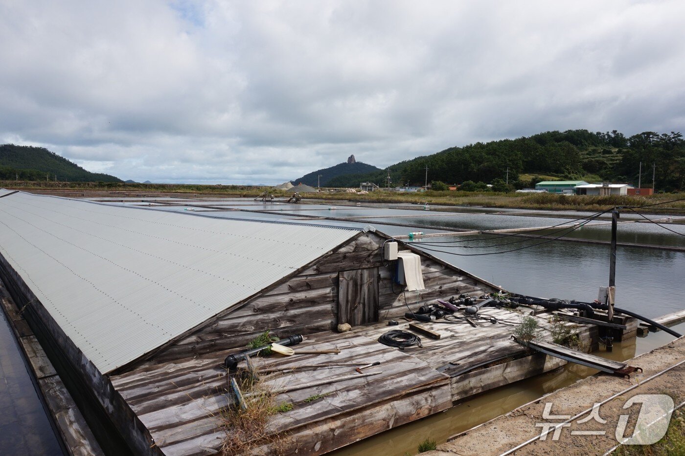 본문 이미지 - 가사도 염전. 가사리와 궁항리 사이의 바다를 막아 만들었다.2025.11.14/뉴스1 ⓒ News1 조영석 기자