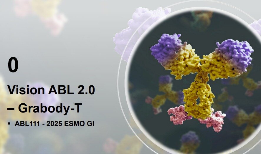본문 이미지 - 에이비엘바이오가 이중항체 플랫폼 &#39;그랩바디-T&#39;를 개발하고 있다.&#40;에이비엘바이오 제공&#41;/뉴스1