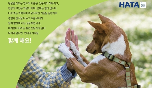 "목줄 당기고 압박하는 훈련 그만"…한국 첫 전문가 연대 HATA 출범