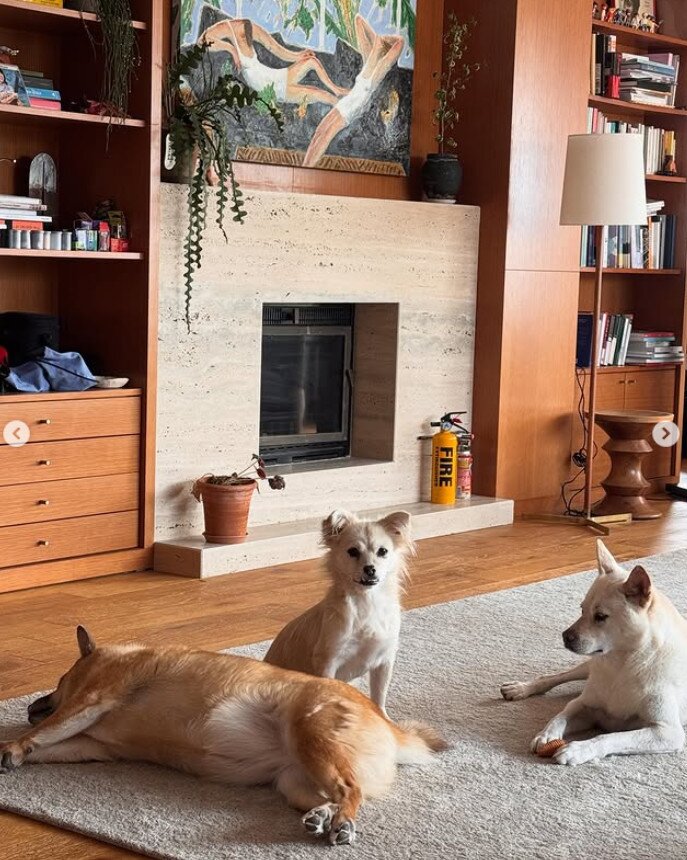 본문 이미지 - 이상순 인스타그램