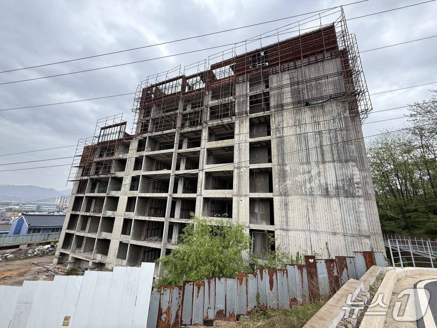 본문 이미지 - 20년동안 방치된 제천 광진아파트.&#40;제천시 제공. 재판매 및 DB금지&#41; /뉴스1  