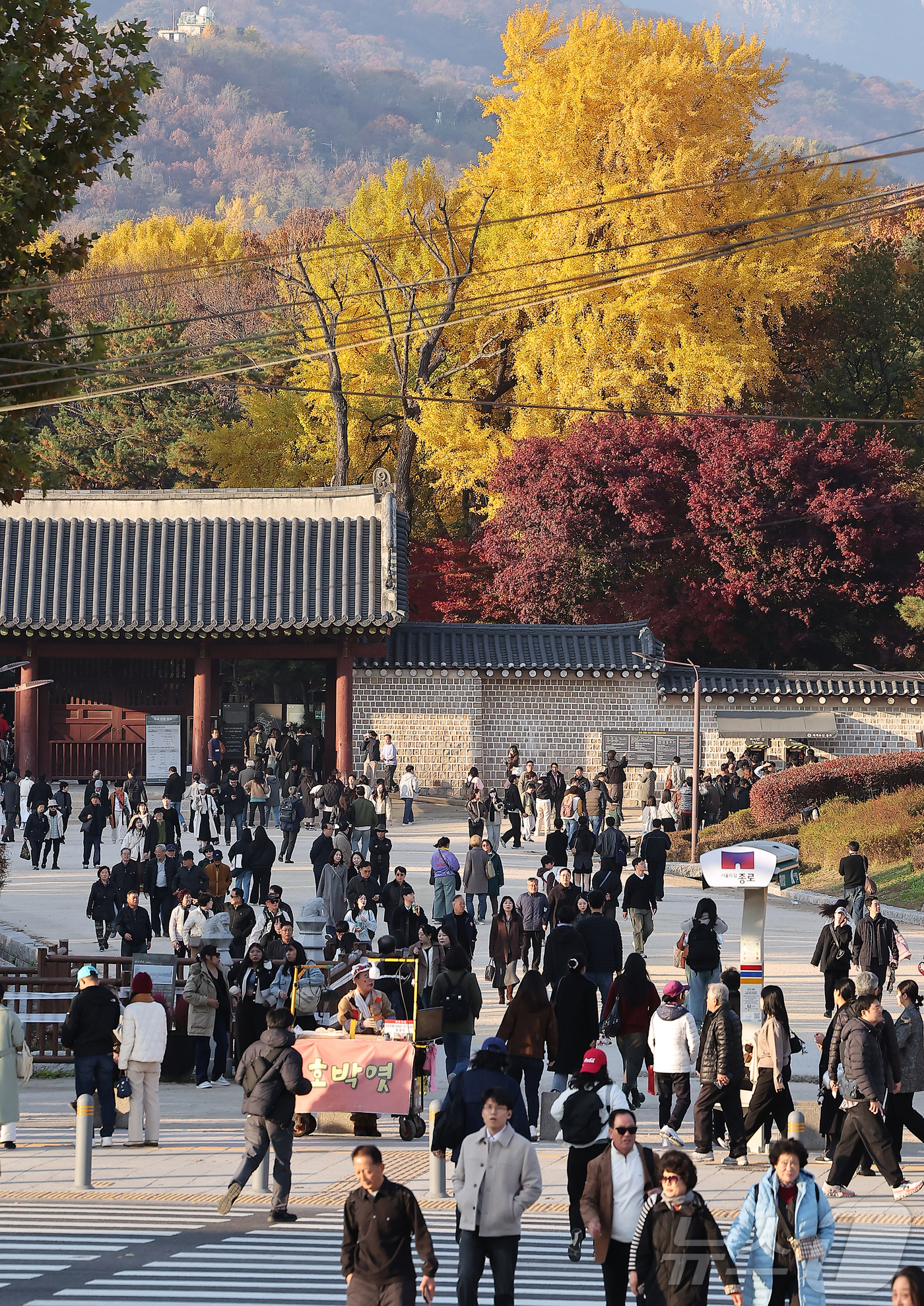 (서울=뉴스1) 김진환 기자 = 15일 오후 서울 종로구 종묘가 관람객으로 붐비고 있다. 2025.11.15/뉴스1