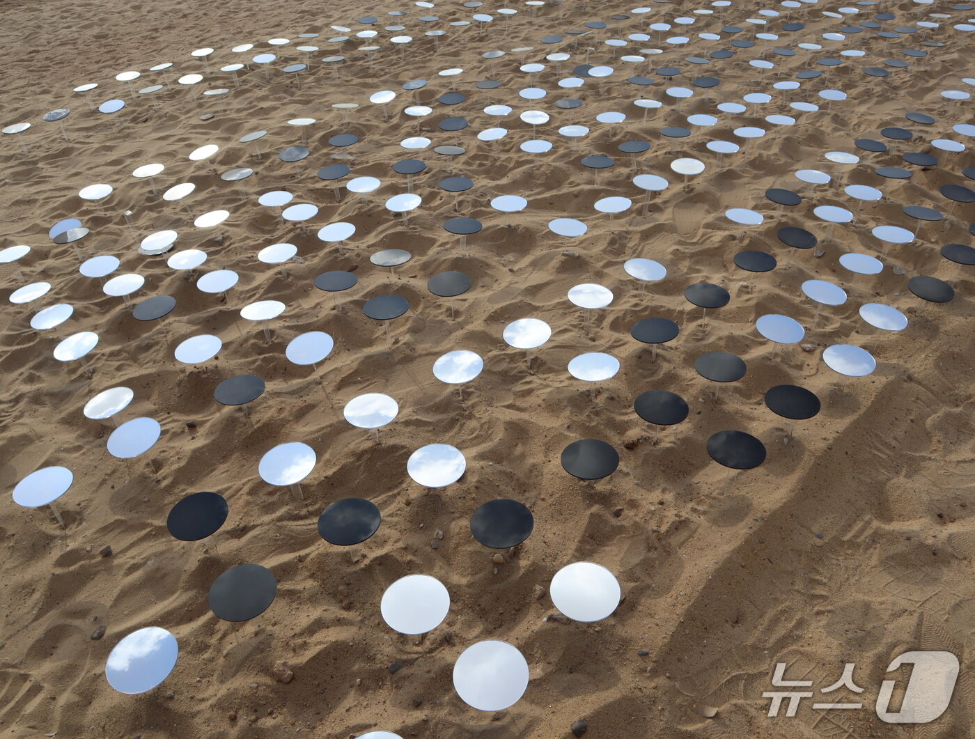 본문 이미지 - 박종규 작가의 작품 &#39;영원의 코드&#39;에서 모스부호로 암호화한 아크릴 점 1000여 개 ⓒ 뉴스1 김정한 기자