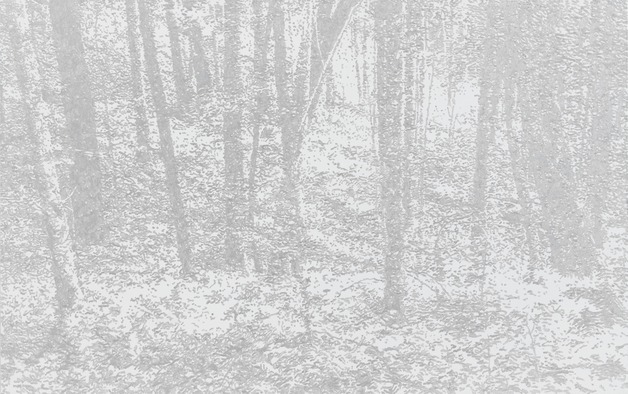 "빛과 감각 사이, 회화의 새로운 언어"…신경철 '라이트 비트윈 에어'