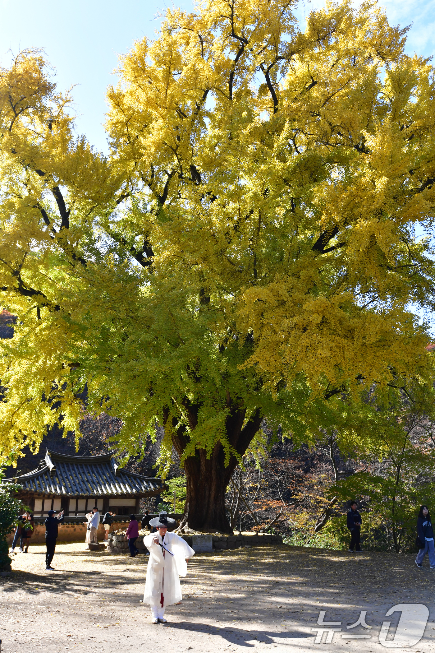 (경주=뉴스1) 최창호 기자 = 16일 경북 경주시 강동면 운곡서원에서 열린 가을 음악회가 열리고 있다.  2025.11.16/뉴스1