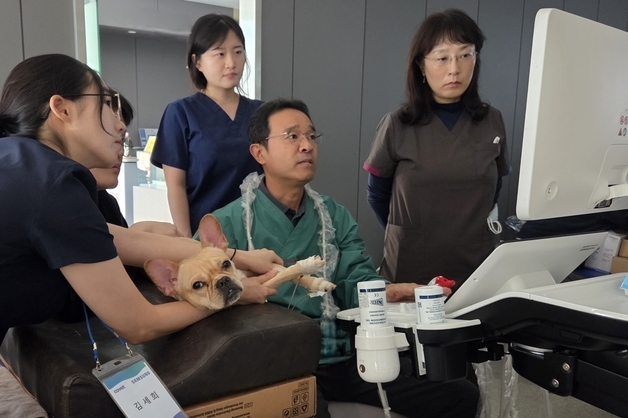 "고난도 테크닉 필요"…반려동물 심장초음파 배우려 수의사 몰렸다