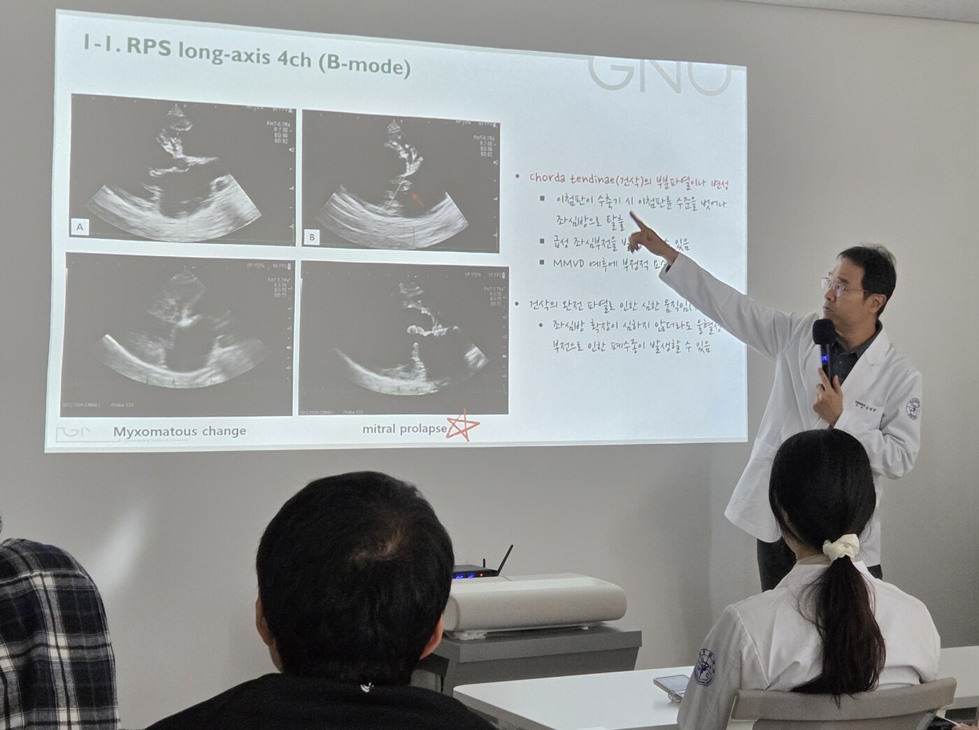 본문 이미지 - 이희천 경상대 수의과대학 수의영상학과 교수가 16일 삼성 소노벳 아카데미에서 반려동물 심장 초음파 이론을 강의하고 있다. ⓒ 뉴스1 한송아 기자