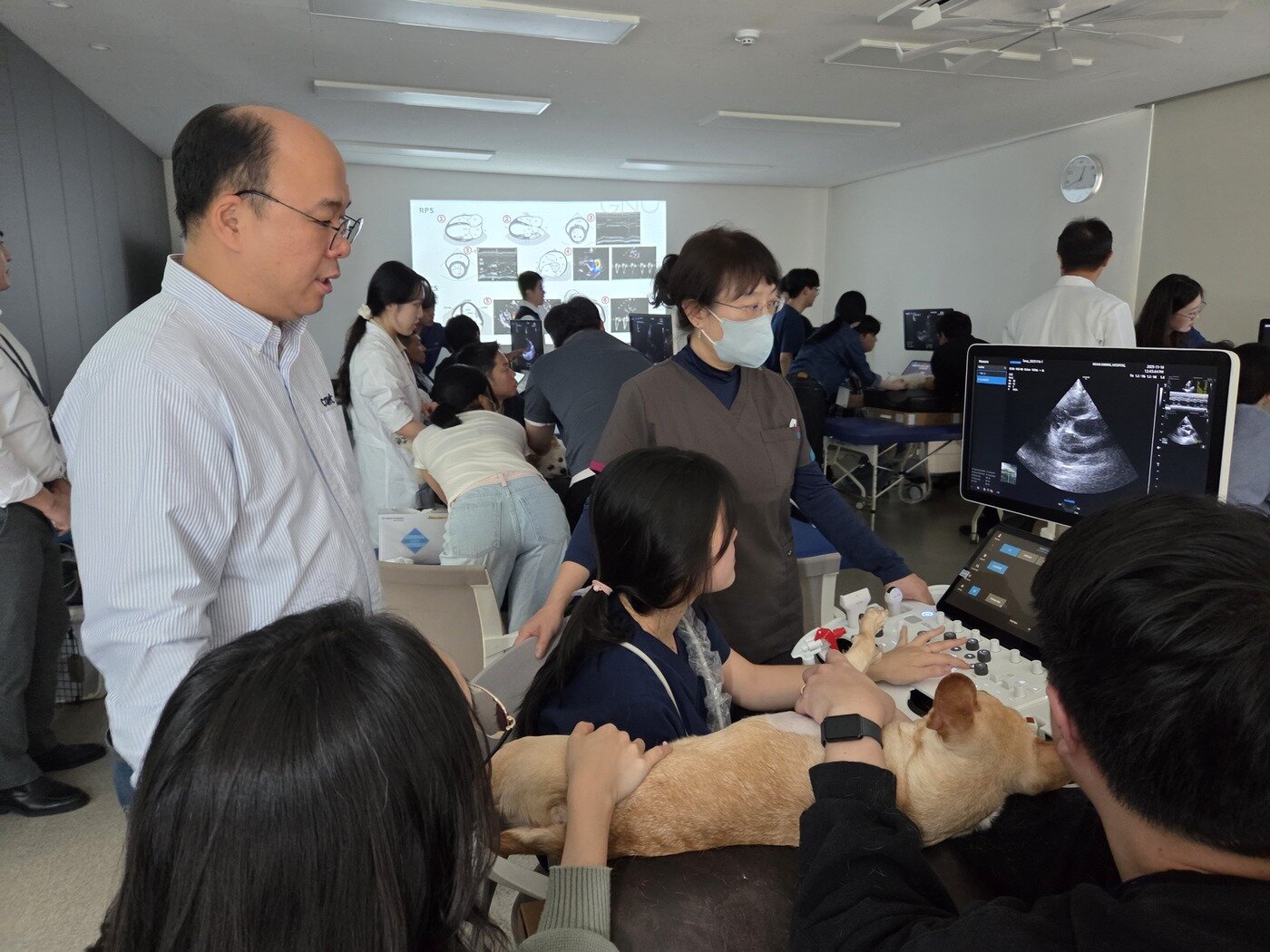 본문 이미지 - 오이세 코벳 대표가 심장 초음파 실습 과정을 지켜보고 있다. ⓒ 뉴스1 한송아 기자