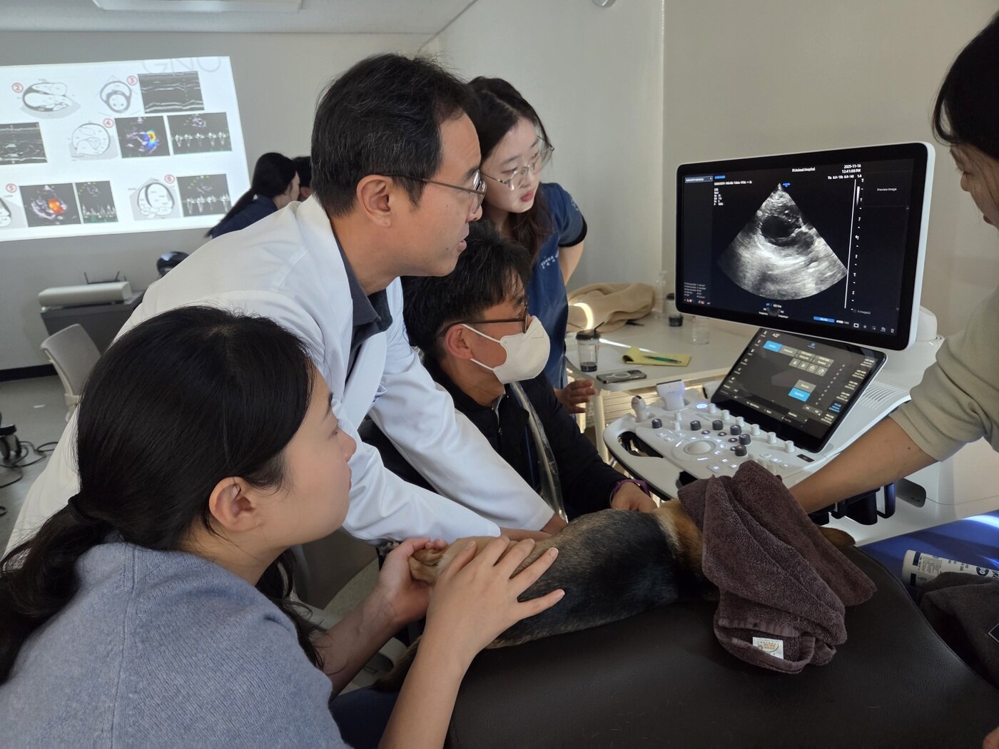 본문 이미지 - 이희천 경상대 수의과대학 수의영상학과 교수(왼쪽에서 두 번째)가 16일 삼성 소노벳 아카데미에서 반려동물 심장 초음파 실습을 지도하고 있다. ⓒ 뉴스1 한송아 기자