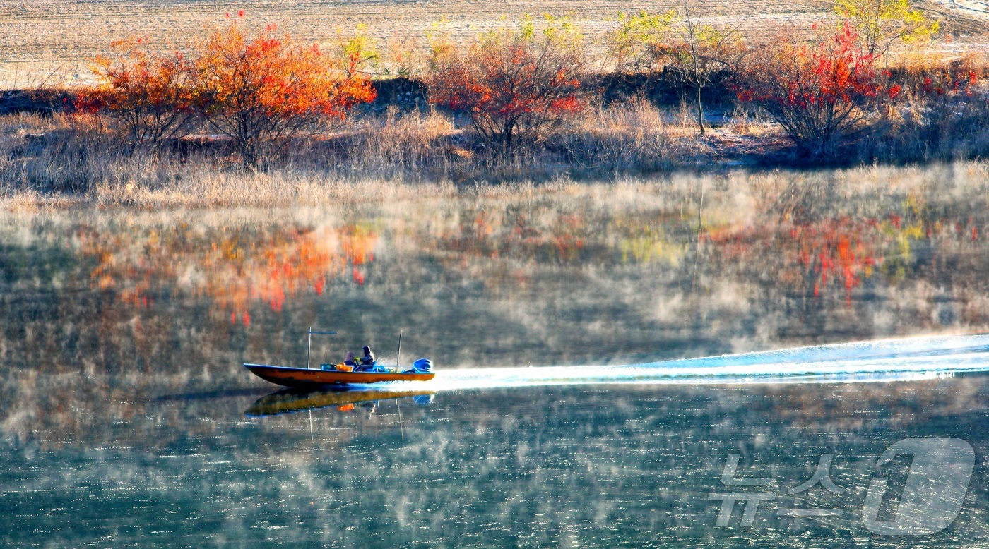 (인제=뉴스1) 신관호 기자 = 16일 오전 물안개가 핀 강원 인제군 남면 소양호에서 한 어부가 조업에 나서고 있다. (인제군 제공. 재판매 및 DB금지) 2025.11.16/뉴스 …