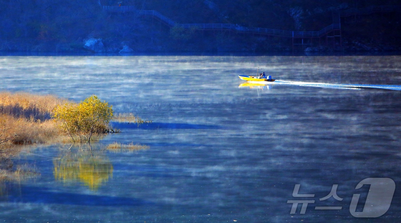 (인제=뉴스1) 신관호 기자 = 16일 오전 물안개가 핀 강원 인제군 남면 소양호에서 한 어부가 조업에 나서고 있다. (인제군 제공. 재판매 및 DB금지) 2025.11.16/뉴스 …