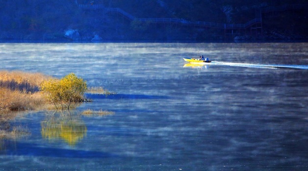 \'물고기 잡자\'…물안개 핀 인제 소양호