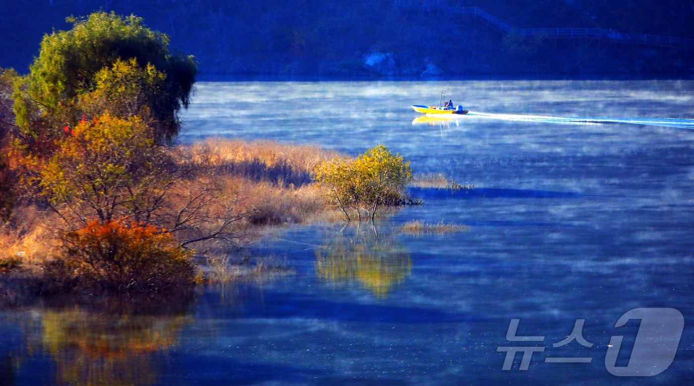 (인제=뉴스1) 신관호 기자 = 16일 오전 물안개가 핀 강원 인제군 남면 소양호에서 한 어부가 조업에 나서고 있다. (인제군 제공. 재판매 및 DB금지) 2025.11.16/뉴스 …