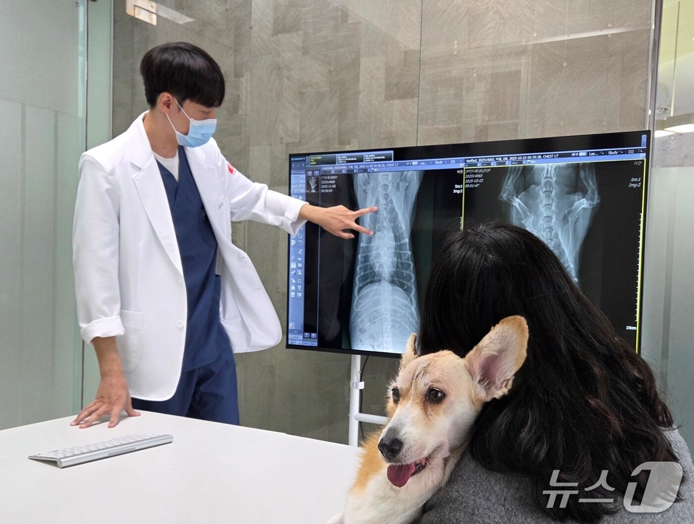 본문 이미지 - 김현주 감독에게 반려견의 상태를 설명하고 있는 김우경 수의사 ⓒ 뉴스1