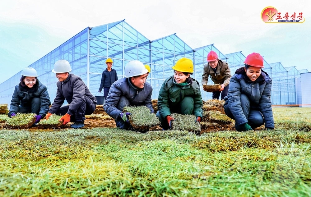 (평양 노동신문=뉴스1) = 북한 노동당 기관지 노동신문은 17일 "최대규모의 온실종합농장을 영광의 당대회에 드릴 자랑찬 노력적 선물로 완공하기 위해 산악같이 떨쳐나선 군민 건설자 …