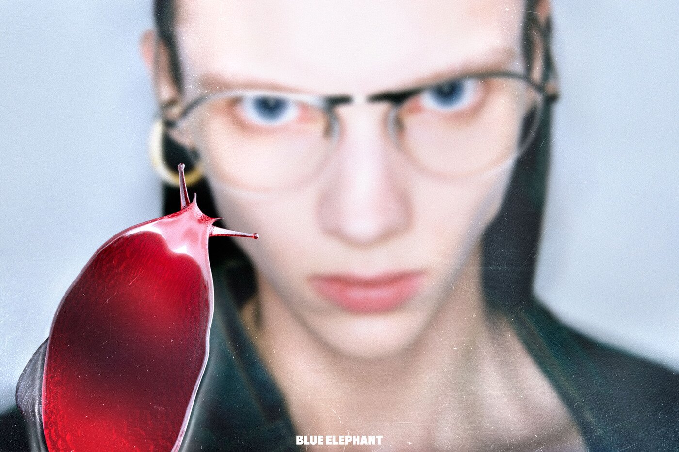 본문 이미지 - 블루엘리펀트 재팬 에디션 캠페인 이미지, 사진=블루엘리펀트 제공