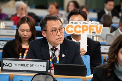 '김치 배추' 국제 통용 명칭 등재됐다