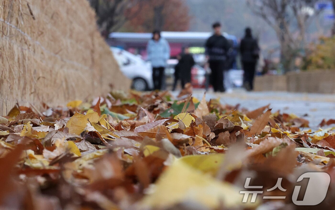 본문 이미지 - 북쪽에서 강한 찬 공기가 밀려들면서 전국 최저기온이 -5도를 밑도는 등 급격한 한파가 찾아온 17일 오전 서울 종로구 광화문네거리에서 시민들이 출근길 발걸음을 서두르고 있다. 2025.11.17/뉴스1 ⓒ News1 김성진 기자