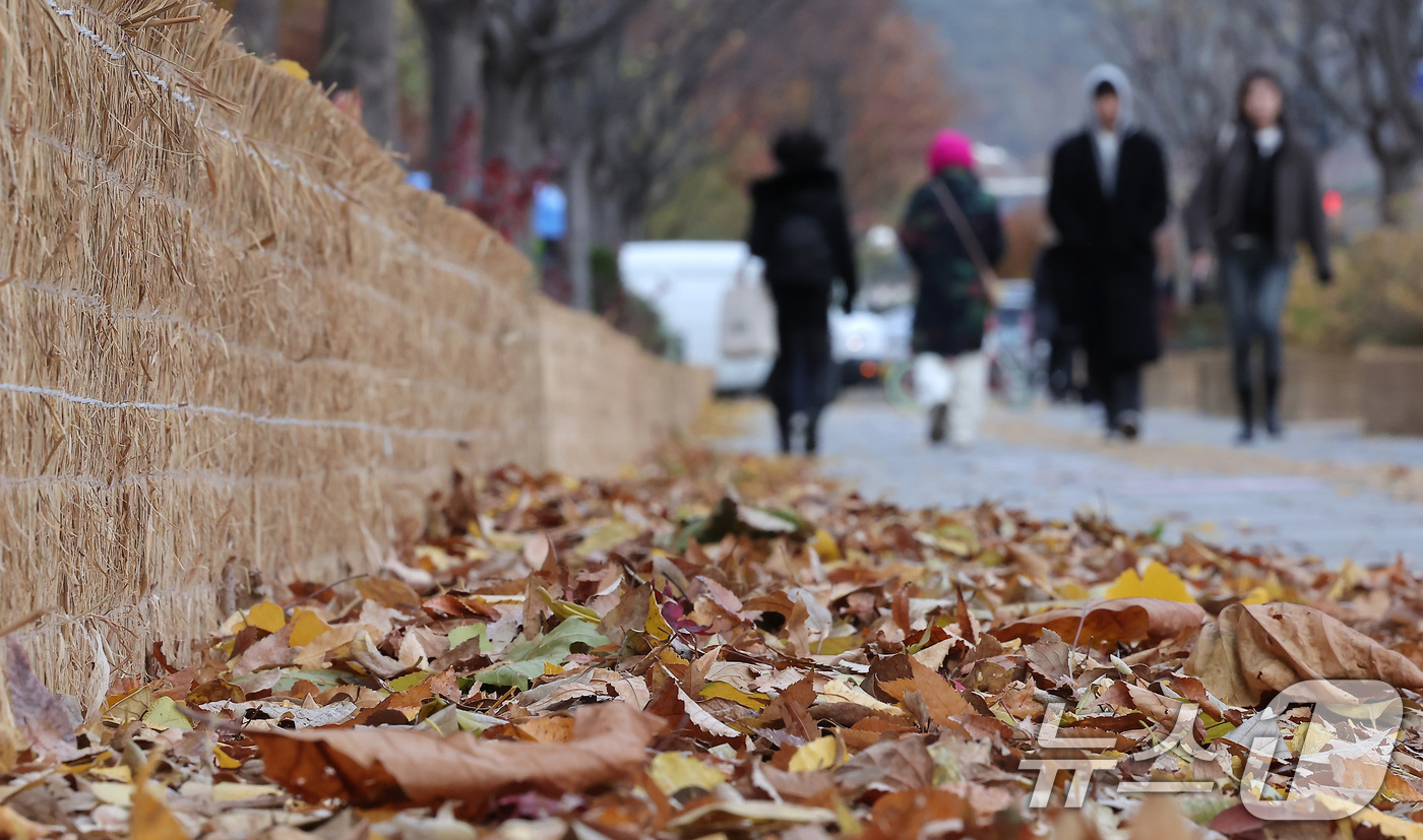 (서울=뉴스1) 김성진 기자 = 북쪽에서 강한 찬 공기가 밀려들면서 전국 최저기온이 -5도를 밑도는 등 급격한 한파가 찾아온 17일 오전 서울 종로구 광화문네거리에서 시민들이 출근 …